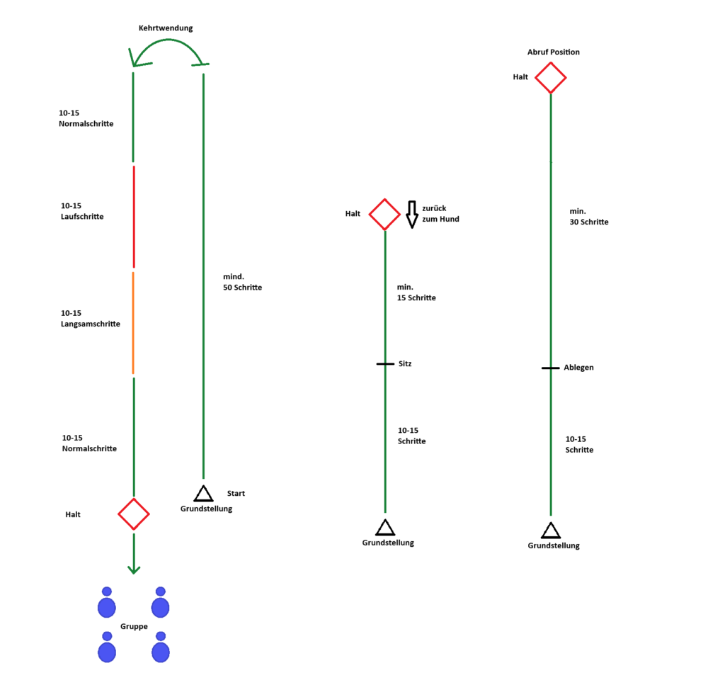 Vorführschema Unterordnungsprüfung FCI-BHVT
